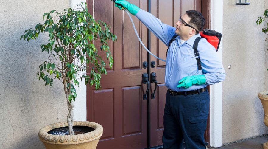 Why choose Bed Bug Heat Treatment North Oxford for bed bug heat treatment in North Oxford